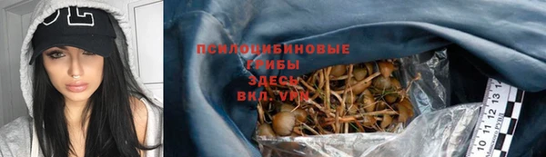 ПСИЛОЦИБИНОВЫЕ ГРИБЫ Дмитровск