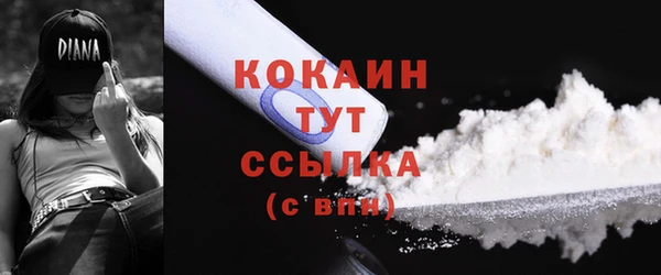 меф Дмитриев