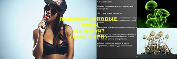 меф Дмитриев