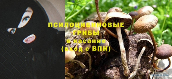 ПСИЛОЦИБИНОВЫЕ ГРИБЫ Дмитровск