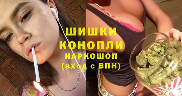 меф Дмитриев