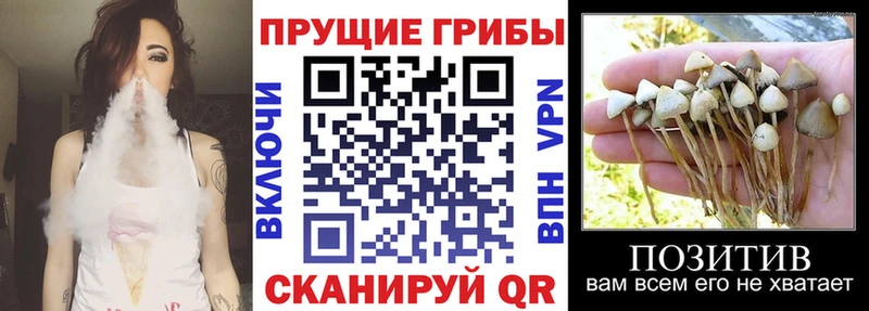 Галлюциногенные грибы Cubensis  что такое наркотик  Нытва 